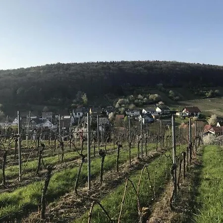 Suedpfalz Quartier 42 - Driwwe 아파트 *