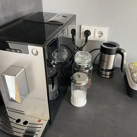 Suedpfalz Quartier 42 - Driwwe 아파트