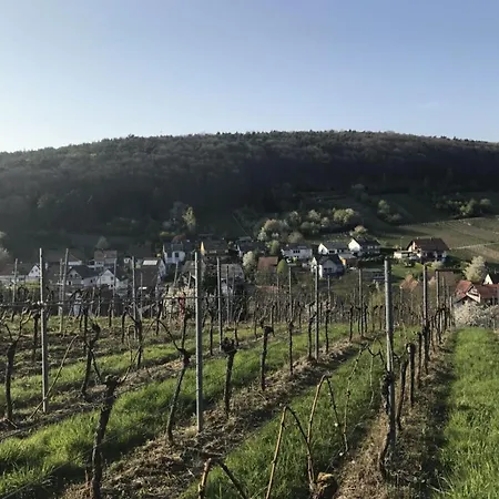 아파트 Suedpfalz Quartier 42 - Driwwe