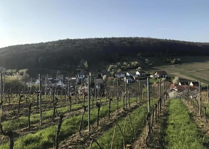 Apartamento Suedpfalz Quartier 42 - Driwwe