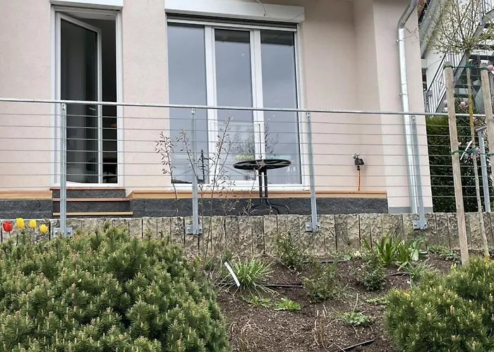 Suedpfalz Quartier 42 - Driwwe